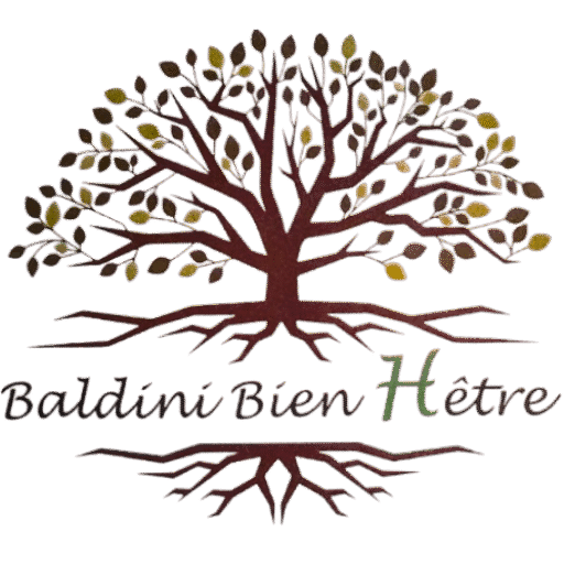 Logo de Baldini Bien-Être représentant un arbre stylisé
